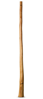 Wix Stix Didgeridoo (WS122)